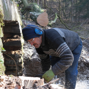 20150213 Baum ist im Weg