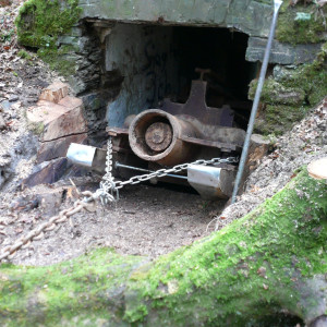 20150220-21 Das dickste Stück