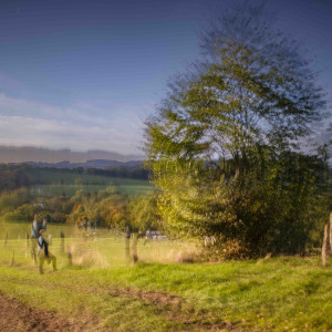 Abstrakte Fotografie - ICM