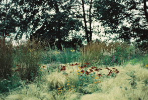 Gartenimpressionen-72dpi-001