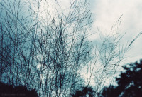 Gartenimpressionen-72dpi-002