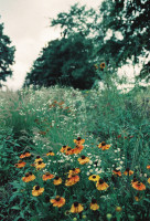 Gartenimpressionen-72dpi-005