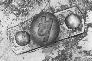 karneval-im-wald-72dpi-002