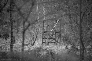 karneval-im-wald-72dpi-003