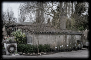 mystic-garden-72dpi-003