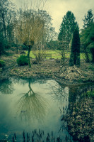 mystic-garden-72dpi-004