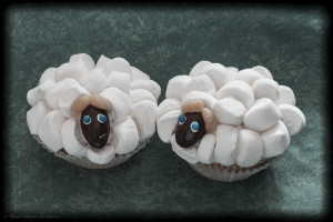 Sheeps On Grazing Land