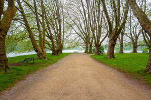 allee decksteiner weiher