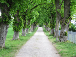 Jakobsweg Aufkirchen W&uuml;rmsee