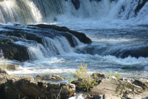 Monika Graszynski - Wasser