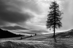 freiesthema 6 20190312