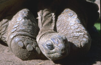 Testsystem der Fotofreunde Much