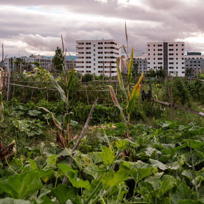 Schrebergarten vor der T&uuml;r.