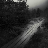 Weg ins Fallen lassen