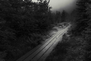 Weg ins Fallen lassen