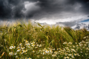 15 Helmut May - Zeit für den Regenschirm