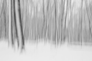 48 Stephan Tewes - Winterholz