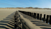 StrandBlick