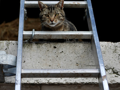 Auswahl für Ausstellung