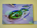 dsc00181