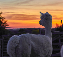 Fototour Fototour 1 DSC01135