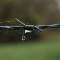 Wassertropfen4