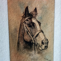 60-WernerTroempert-Pferd K