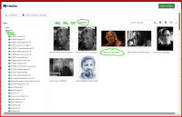 screenshot 2024 12 24