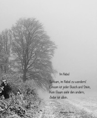 Im Nebel