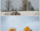 Herbst - Winter