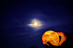 Den Mond vom Himmel geholt