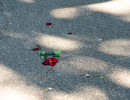 2024.08.11 koeln fotofreunde00024
