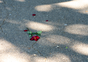 2024.08.11 koeln fotofreunde00024