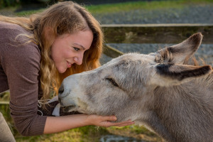 AL-20160729-Hof-Huppenhardt-sRGB_80_300dpi-010