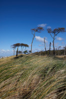 Strand   0027  155