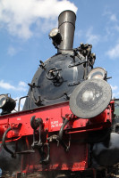 Bergischer L&ouml;we