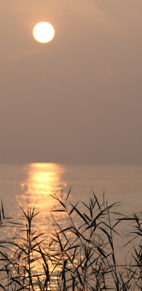 JU_26