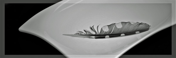 Eckige Schale mit Feder