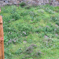 Kunst auf der Burg - 24