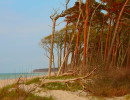 weststrand in herbstfarben