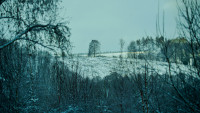holzer alm