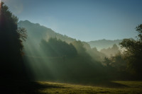 Nebel 3