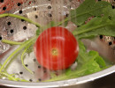 Rucola und Tomate im Sieb