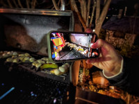 S&uuml;&szlig;e Verf&uuml;gung 