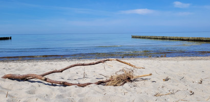 Ostsseestrand