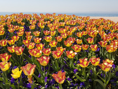 Momentaufnahmen Februar 2026