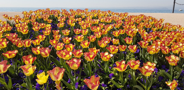 Momentaufnahmen Februar 2026