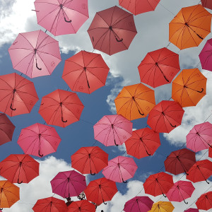 Momentaufnahmen März 2026