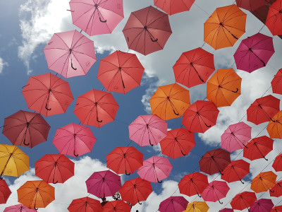 Momentaufnahmen März 2026