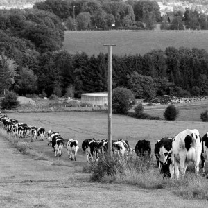 Much - Der andere Blick 1 von 3 (11.01.2021) 